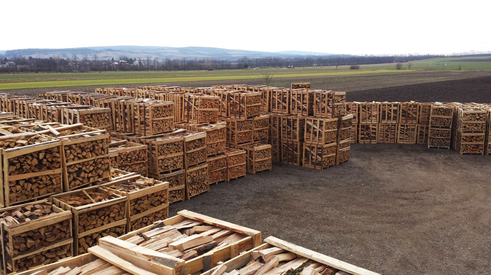 Andis Brennholz, Brennholz Niederösterreich, Brennholz kaufen, Brennholz bestellen, trockenes Brennholz kaufen, Brennholz für Lagerfeuer, Kaminholz, Eichenholz Brennholz, Buchenholz Brennholz, Buchenholz, Eichenholz zum Heizen, Brennholz Verkauf Weinviertel, Brennholz Bezirk Mistelbach, Brennholzverkauf, Brennholz kaufen Niederösterreich, Holzverkauf, Holzverkauf im Weinviertel, Brennholzverkauf Weinviertel, günstiges Brennholz, günstiges Brennholz kaufen, Brennholz abholen, trockenes Brennholz, BRennholz sofort verfügbar, trockenes Brennholz sofort verfügbar, Brennholz zum selber abholen, Handel mit Brennholz, Brennholz Wildendürnbach, Brennholz kaufen Wildendüprnbach, Brennholz kaufen Staatz, Brennholz kaufen Laa, günstiges Brennholz im Weinviertel kaufen, Brennholzverkauf Gänserndorf, BRennholzverkauf Mistelbach, Brennholz kaufen in Mistelbach, Brennholz für Kamin, Nachhaltiges Brennholz, Brennholz Feuerstelle, Brennholz Gartenhaus, Brennholz für Kachelofen, Brennholz selber abholen, ofenfertiges BRennholz, kaminfertiges Holz, Brennholz liefern Brennholz Lieferant;