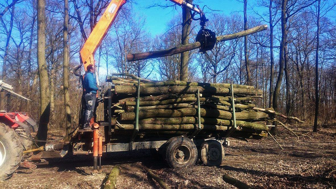 Andis Brennholz, Brennholz Niederösterreich, Brennholz kaufen, Brennholz bestellen, trockenes Brennholz kaufen, Brennholz für Lagerfeuer, Kaminholz, Eichenholz Brennholz, Buchenholz Brennholz, Buchenholz, Eichenholz zum Heizen, Brennholz Verkauf Weinviertel, Brennholz Bezirk Mistelbach, Brennholzverkauf, Brennholz kaufen Niederösterreich, Holzverkauf, Holzverkauf im Weinviertel, Brennholzverkauf Weinviertel, günstiges Brennholz, günstiges Brennholz kaufen, Brennholz abholen, trockenes Brennholz, BRennholz sofort verfügbar, trockenes Brennholz sofort verfügbar, Brennholz zum selber abholen, Handel mit Brennholz, Brennholz Wildendürnbach, Brennholz kaufen Wildendüprnbach, Brennholz kaufen Staatz, Brennholz kaufen Laa, günstiges Brennholz im Weinviertel kaufen, Brennholzverkauf Gänserndorf, BRennholzverkauf Mistelbach, Brennholz kaufen in Mistelbach, Brennholz für Kamin, Nachhaltiges Brennholz, Brennholz Feuerstelle, Brennholz Gartenhaus, Brennholz für Kachelofen, Brennholz selber abholen, Brennholz liefern Brennholz Lieferant;